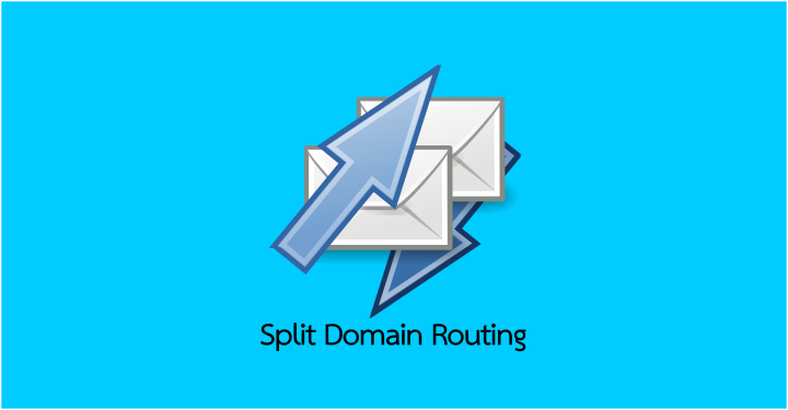Split Domain Routing